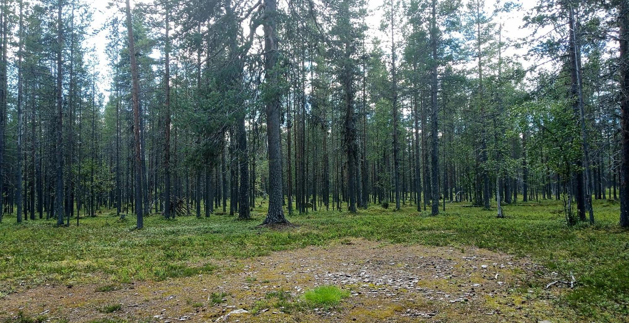 Kuukkeli Apartments Vuotso Kültér fotó